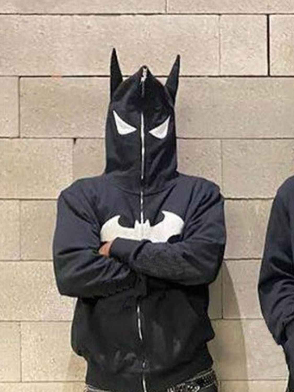 Men's Bat Embroidered Zip Up Hoodie - Damned Threads
